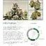 Patient Image of Primacann LLC T21 Liberation Lemon Cake Medical Cannabis