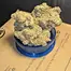 Patient Image of Papers™ YC T29 Yoda Cap Medical Cannabis