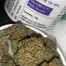 Patient Image of Cellen™ Satoline T18 White Widow Medical Cannabis