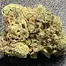 Patient Image of Upstate® SS T24 Scoops Medical Cannabis