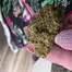 Patient Image of Big Narstie Medical AM T23 Ammy Medical Cannabis