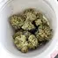 Patient Image of Weeco T25 Frosted Lemon Angel Medical Cannabis