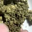 Patient Image of Noidecs MVA T20:C4 Kosher Kush Medical Cannabis