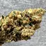 Patient Image of Medropharm BBK T22 Bubba Kush Medical Cannabis