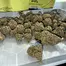 Patient Image of Next Friday BF T24 Blueberry Fuego Medical Cannabis