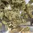 Patient Image of 4C Labs Core SCK T25 Strawberry Cake Medical Cannabis