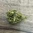 Patient Image of PharmaServ CJ T22 Chemmy Jones Medical Cannabis