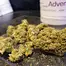 Patient Image of Curaleaf® TPI T20 Tripoli Medical Cannabis