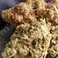 Patient Image of Humble Bud GM Smalls T25 Gelato Medical Cannabis