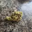 Patient Image of Greyscales GHZ T28 G13 Haze Medical Cannabis